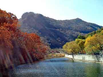 新澳天天开奖资料大全旅游团，流动加油车价格